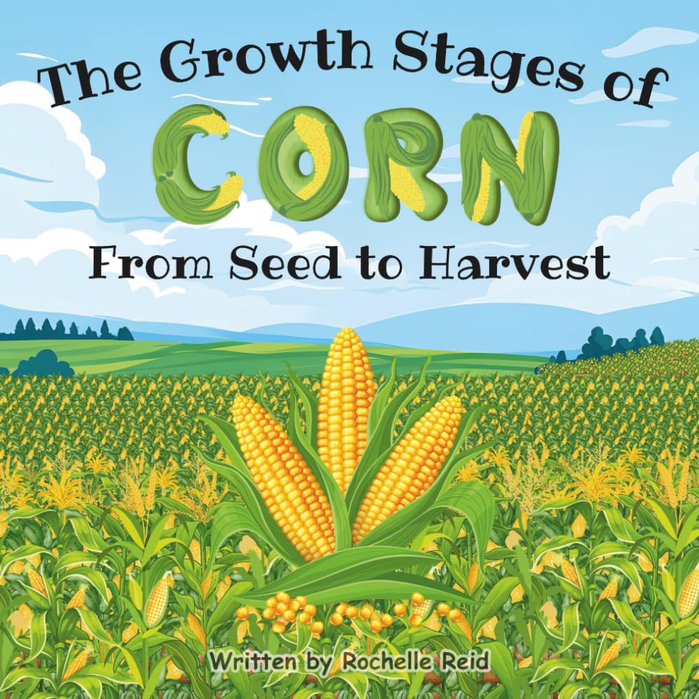 The Growth Stages of Corn from Seed to Harvest