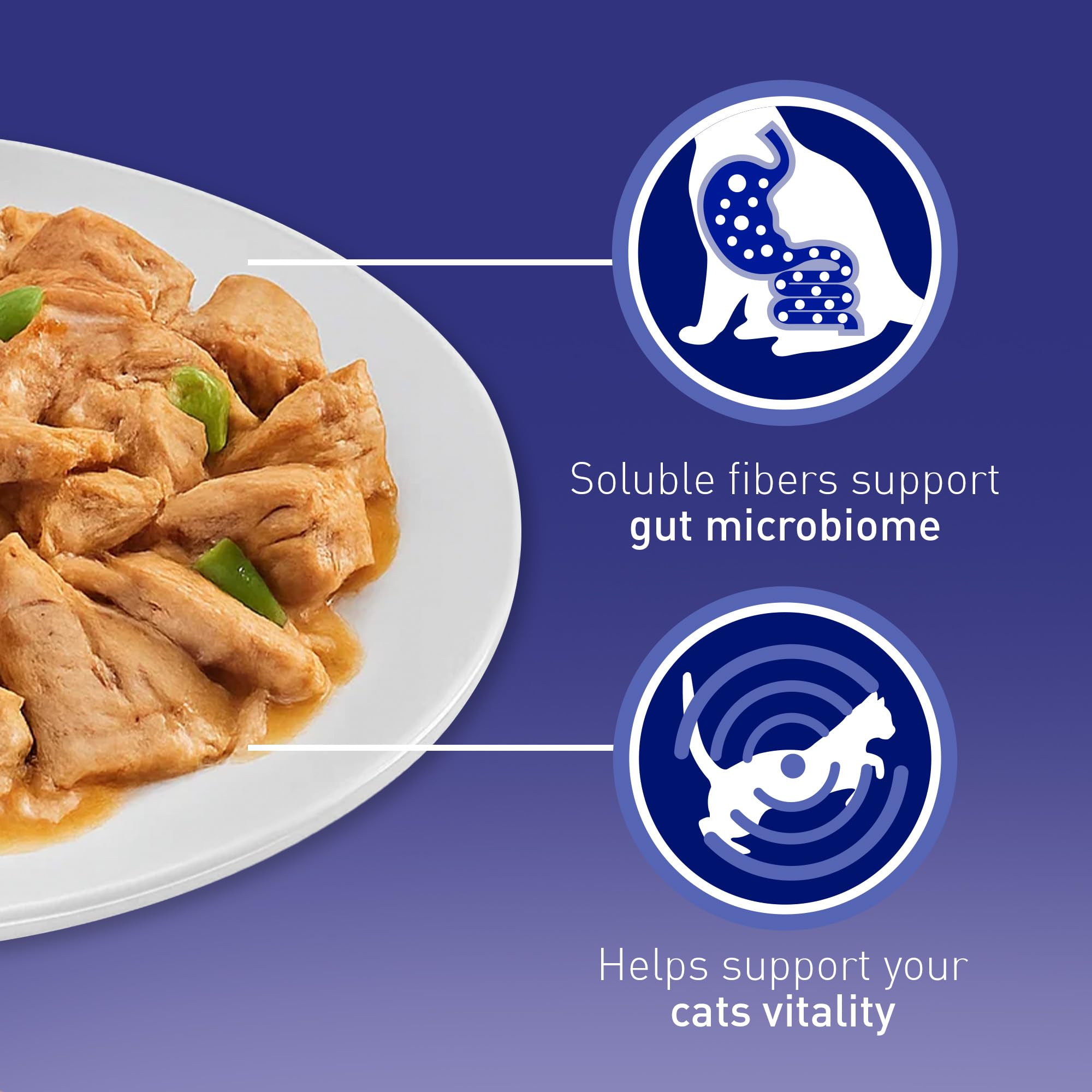 PURINA ONE Mini Fillets Mixed Selection in Gravy Adult Wet Cat Food 40x85g — view 3