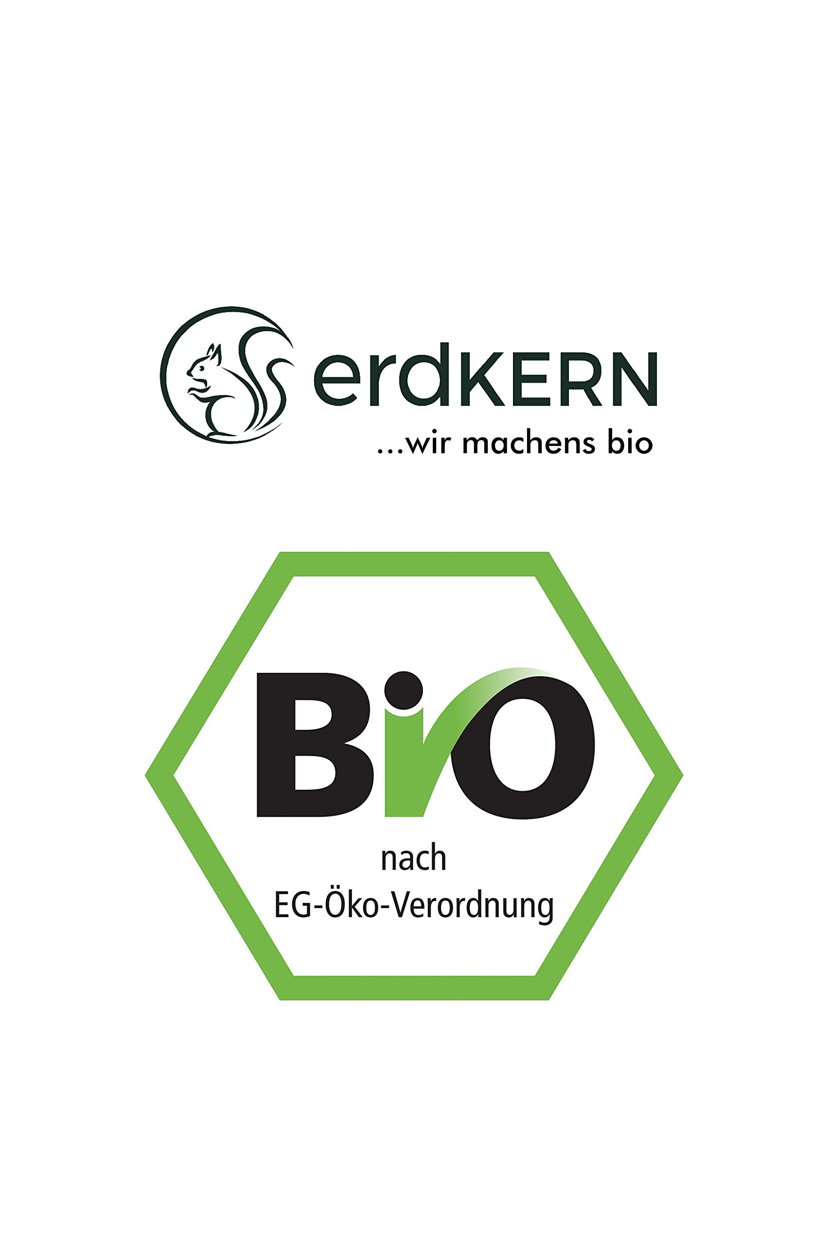 BERTRAND BIO Bottles - vegan natural - Trinkbare Mahlzeit - 12 x 125g