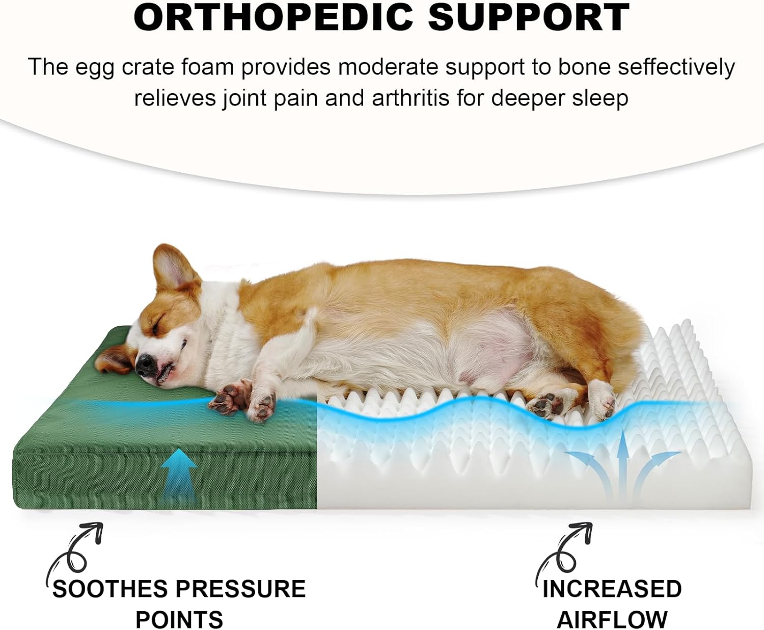 Ultimate Comfort: Indestructible Orthopedic Dog Beds for Large Paws