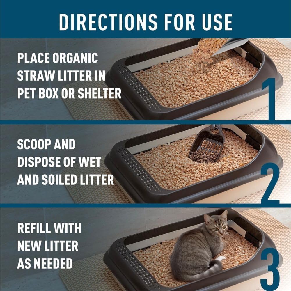 Blue Mountain Hay Lettiera biologica in paglia di grano per piccoli animali, pellet naturali e biodegradabili, senza sostanze chimiche e antipolvere, assorbe l'umidità, elimina naturalmente gli odori