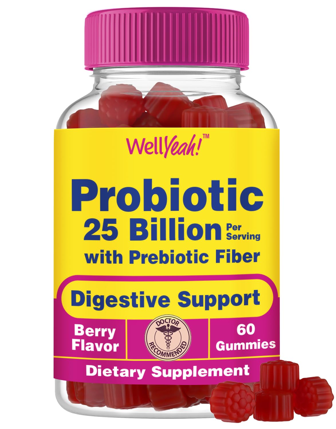 WellYeah 25 Billion Probiotics + Prebiotics Gummies - 12 Strains - Digestive Support, Gut Health, Immune Support Gummy - for Men and Women - Probiotics for Digestive Health - 60 Gummies