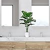 Product Photo 8