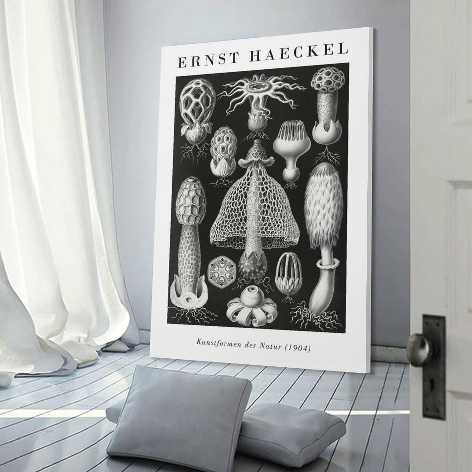 Junmoney Ernst Haeckels Nature Forms Wall Picture Print 20x30inch(50x75cm), for Entrance Spaces, Stair Walls Or Halls, Decorative Canvas Styling for Entry Areas