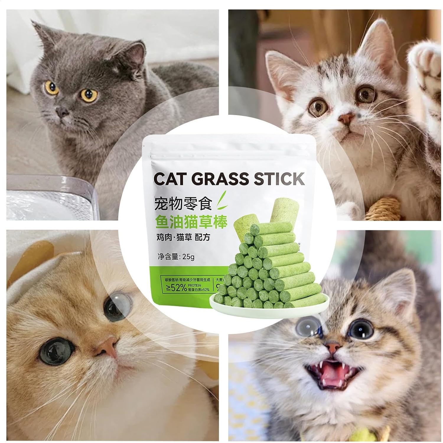 Pet Cat Grass Chewing Toy Chew Stick Indoor - Cat Treat Snack Stick | Cat Grass Sticks Snacks | Pet Supplies for Indoor and Outdoor Cat Kitten | Organic Cat Grass for Indoor Cats Best Cat Grass 5 71WZEzzjjsL. AC SL1500
