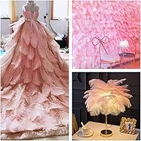 Vista 134 de 24 piezas de plumas de avestruz blanco natural de 10-12 pulgadas (25-30cm) para centros de mesa de bodas y fiestas, arreglos florales y decoración