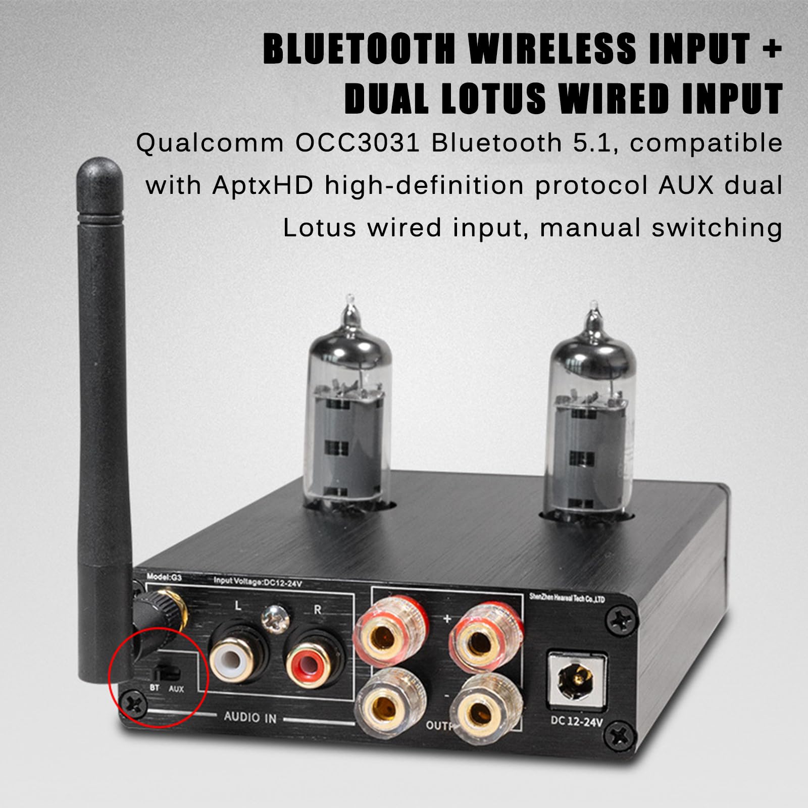 Amplificatore a tubo Home Audio, Home Audio Desktop Stereo Vacuum, Regola liberamente i bassi e gli alti, Mini amplificatore di potenza Hi-Fi integrato, per musica audiofila, Home Theater e giochi