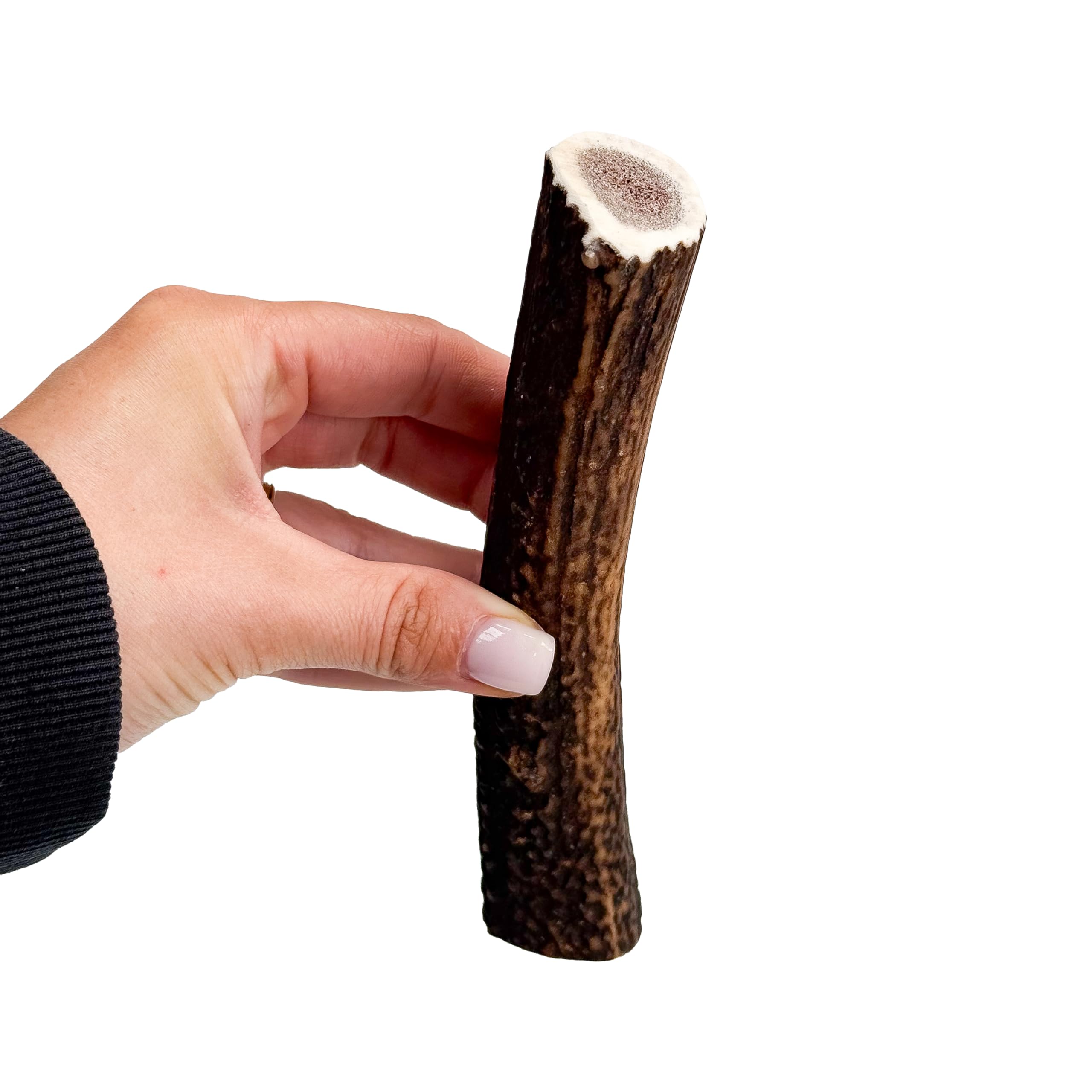 Antler Chew Antler Dog Chews Medium Plus (100-130g, From 14cm) Sanded, Naturally Shed