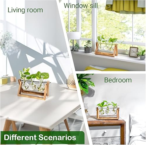 Miniatura 24 de Ivolador - Terrario de cristal colgante, maceta para plantas hidropónicas, decoración para el hogar