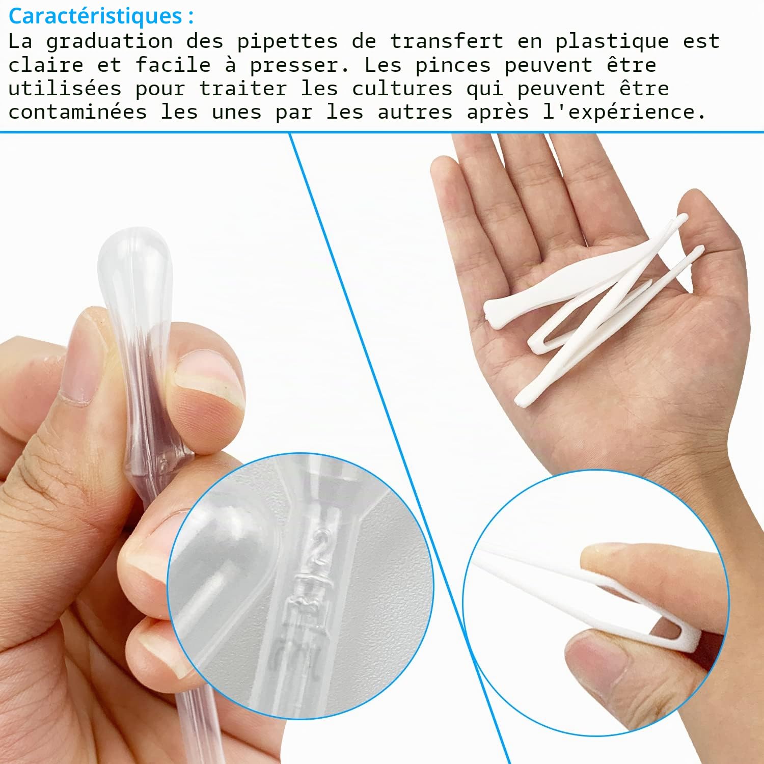 40 Pièces Pétri en Plastique, Boîte de Pétri Transparente Stérile avec 12 Pipettes de Transfert et 6 Pinces à épiler, pour Tissus Cellulairesde Culture