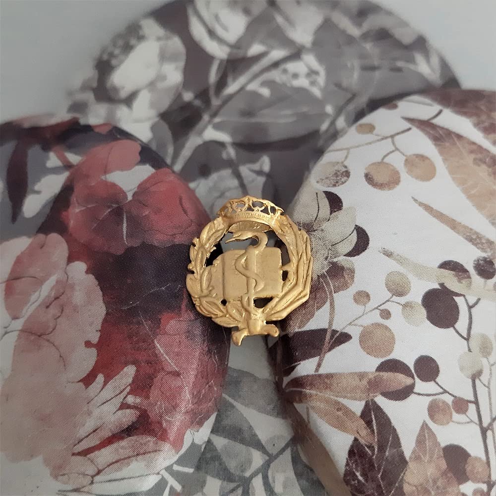 Insignia Profesional de Medicina Pin para Hombre Mujer en Plata 925 Chapado en Oro con Caja para Regalo