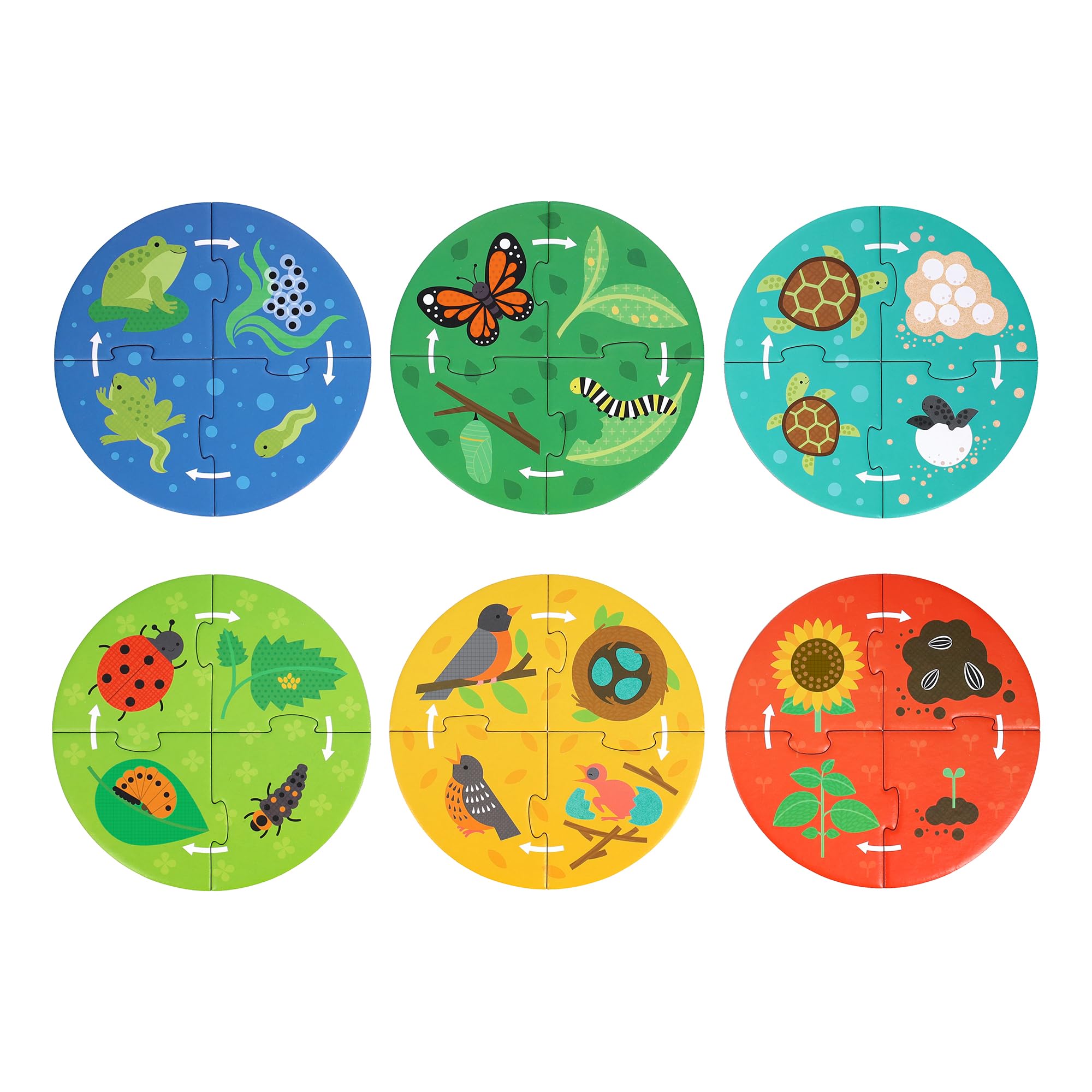 Petit Collage: Discovery Life Cycle Mini Puzzles - Contains 6 Mini Puzzles with 4 Pieces Each and Multi-Language Info Sheet - Show Life Cycle for Different Animals - Great Gift for Children 3+ - Image 6