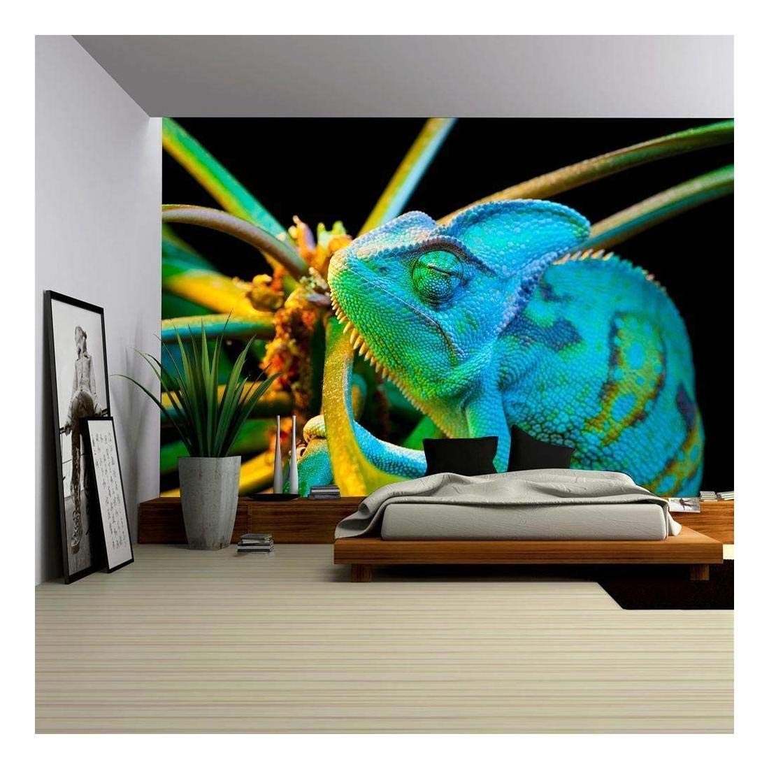 wall26 - Yemen Chameleon Isolated on Black Background - Removable