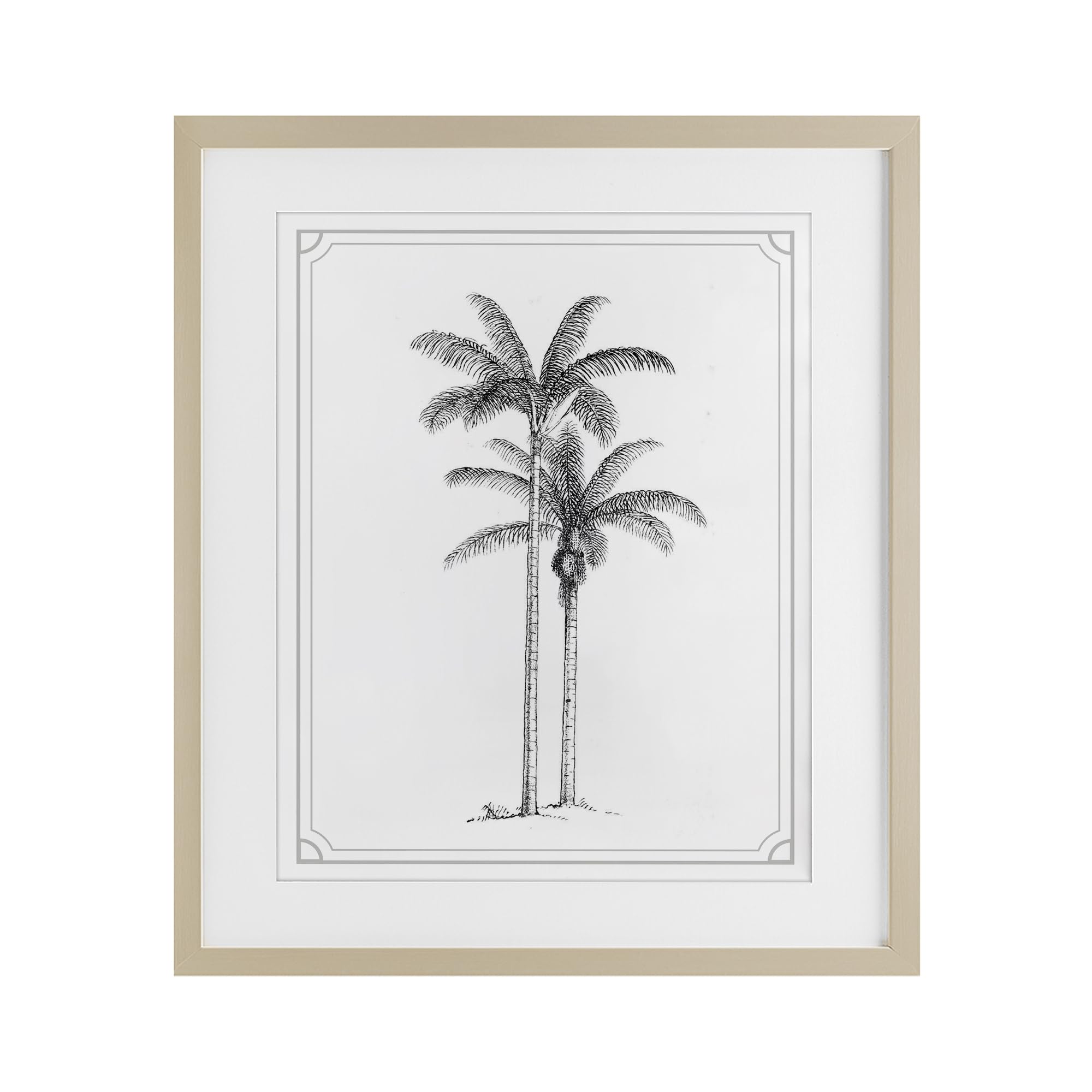 Palmier blanc affiche vintage encadrata sotto vetro per salotto chic