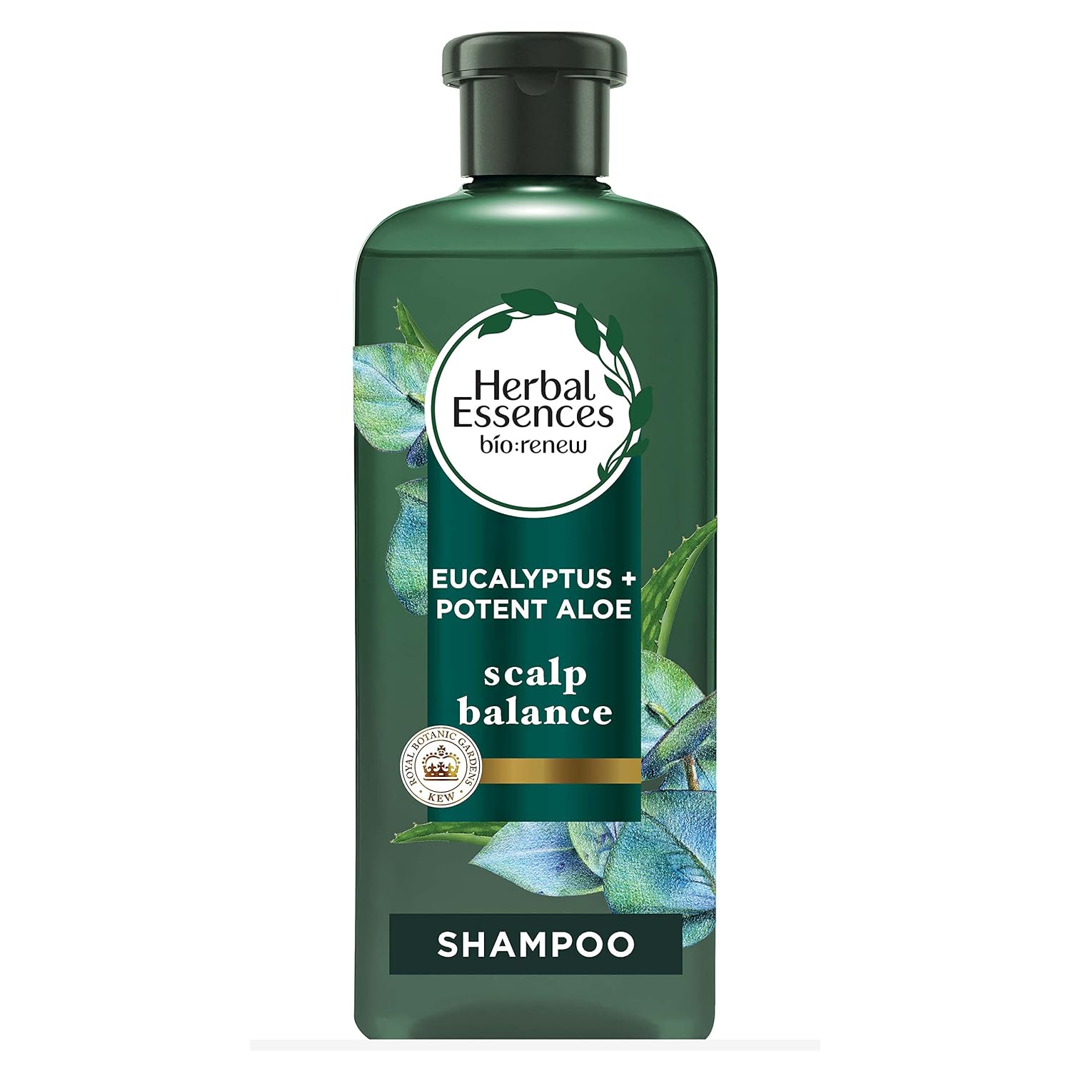 Herbal Essences Bio: Renew Aloe + Eucalyptus Sulfate Free Shampoo Scalp Balance, 13.5 Fl Oz, 5.491 Fl Oz