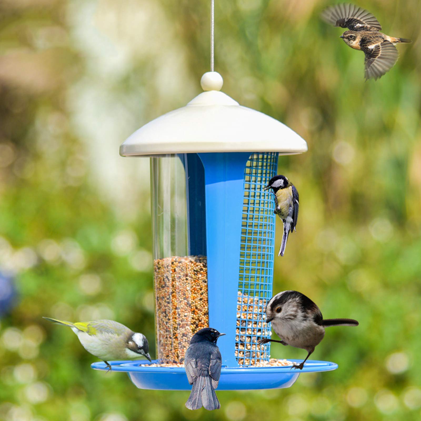 Mangiatoia per Uccelli
