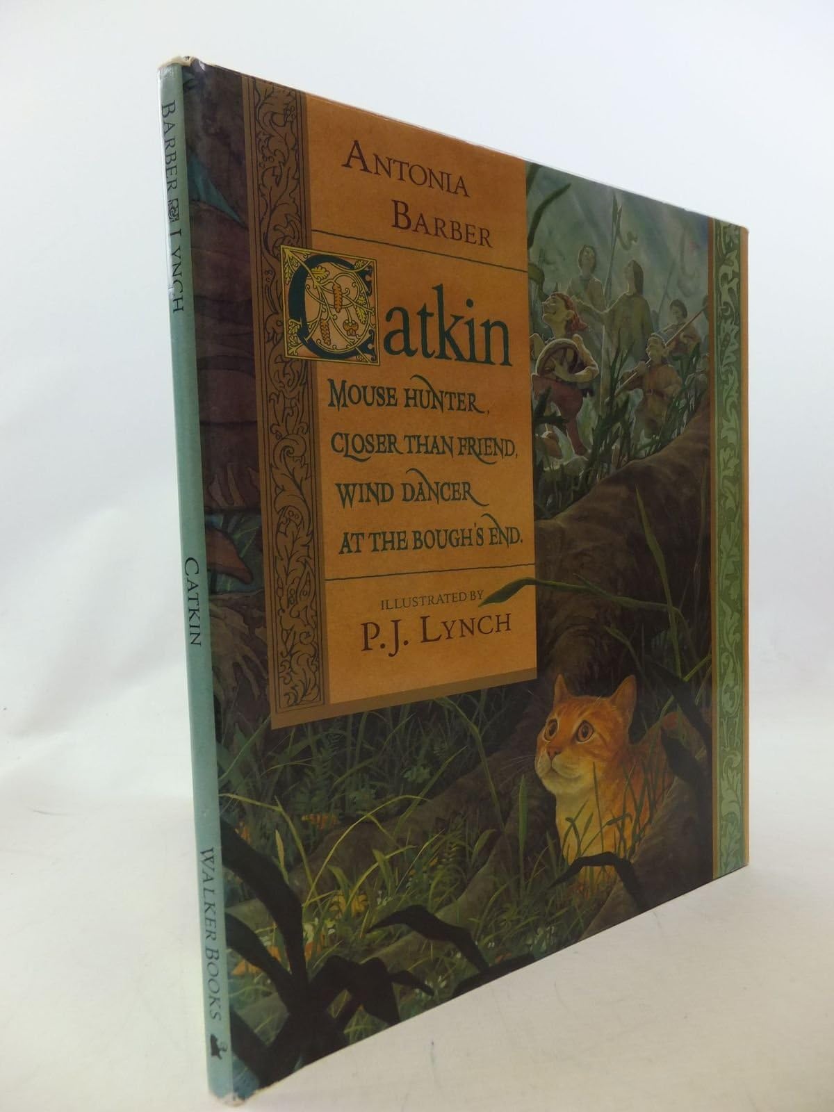 Catkin
