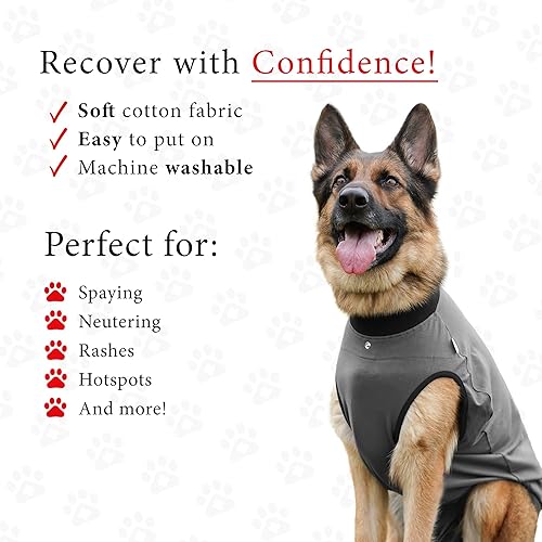 Miniatura 3 de BellyGuard Recovery Suit for Dogs, Comfy Dog Surgery Suit, Female Spay and Male Neuter Onesie for Post-Op Care Azul,Gris,Granate