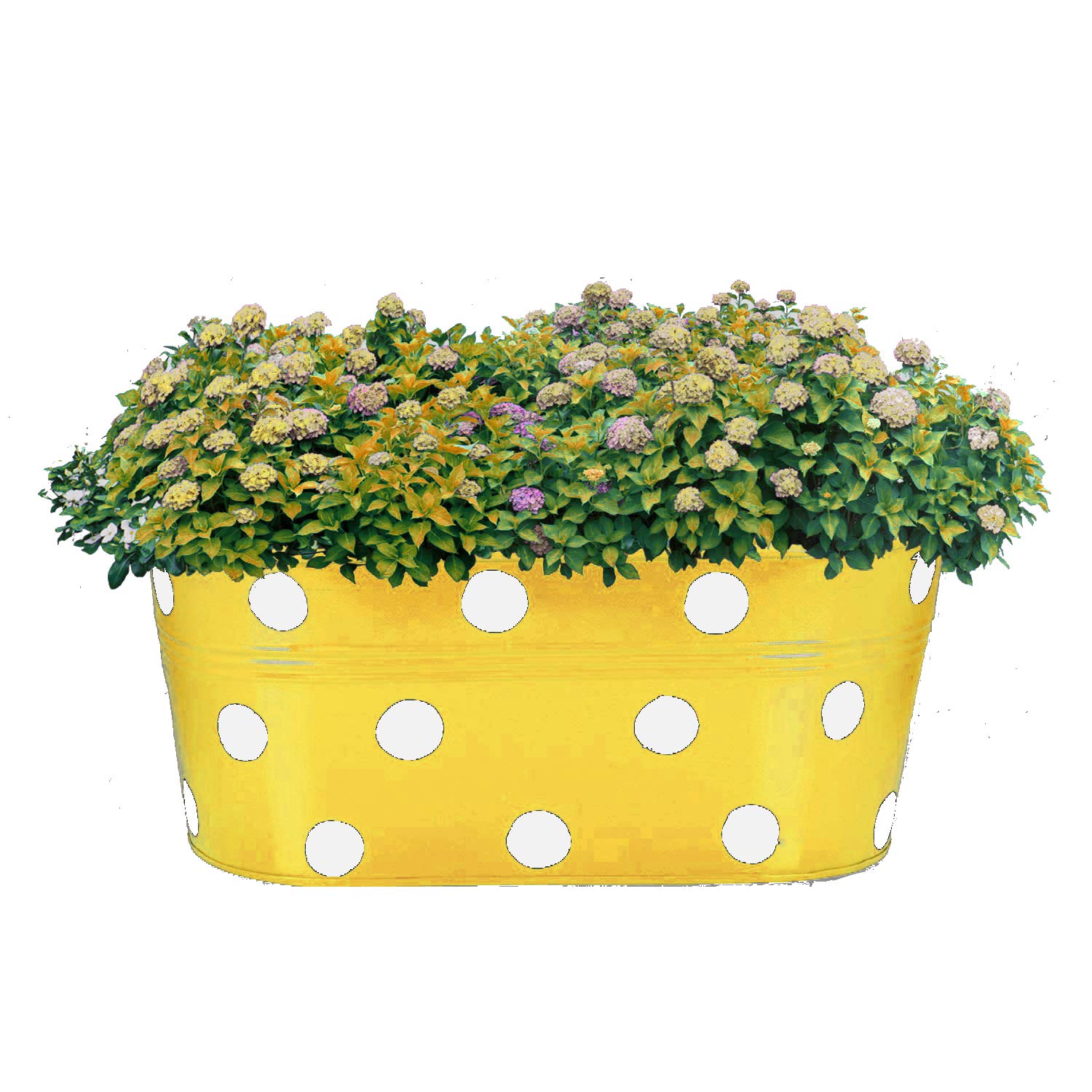 See full amazon price history chart for Go Hooked Metal Hanging Planter | Metal Railing Planter (12 Inch, Yellow) Go Hooked Metal Hanging Planter | Metal Railing Planter (12 Inch, Yellow) (B07NL91967) Amazon Price History, Amazon Price Tracker