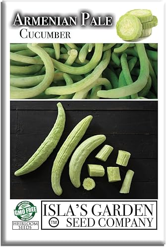 Isla's Garden Seeds - Semillas de pepino verde pálido armenio (Cucumis sativus) – Más de 100 semillas tradicionales y sin OMG para plantar, pepinos