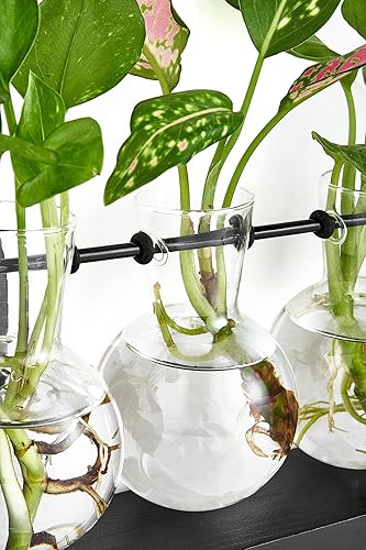 Miniatura 4 de Mkono Terrario de plantas con soporte de madera, maceta de vidrio para colgar en la pared, jarrón de propagación de plantas de escritorio con