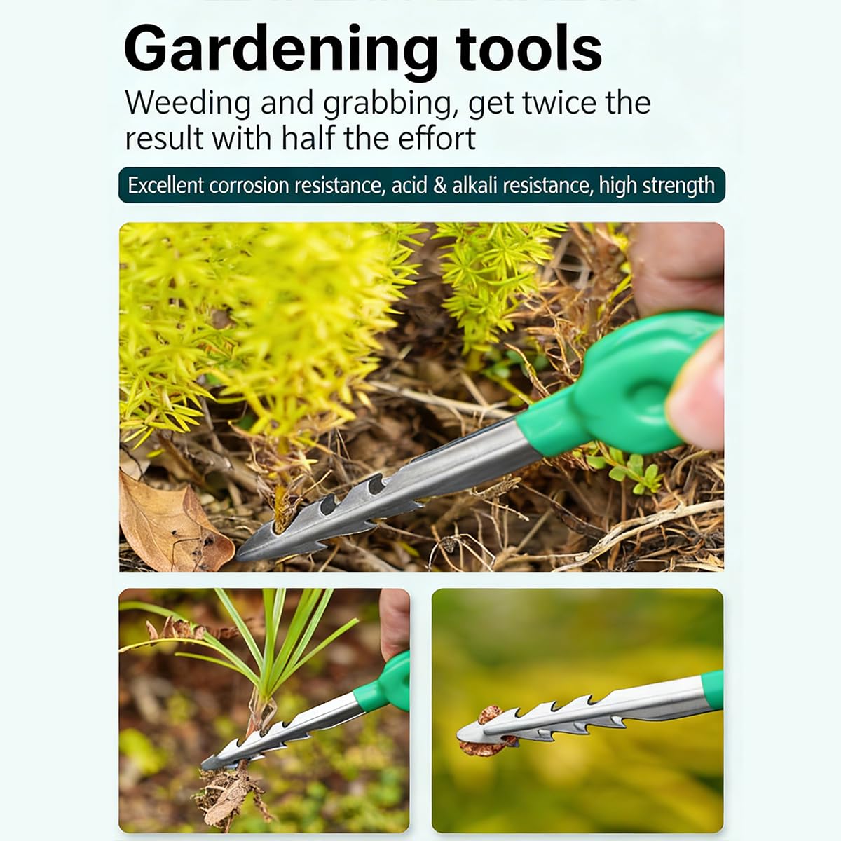 Pinzette da Giardino Professionali in Acciaio Inox Pinza a Punta Dritta Seghettata per Piante Succulente Cactus e Bonsai Strumento di Precisione Portatile per Trapianto e Cura Piante