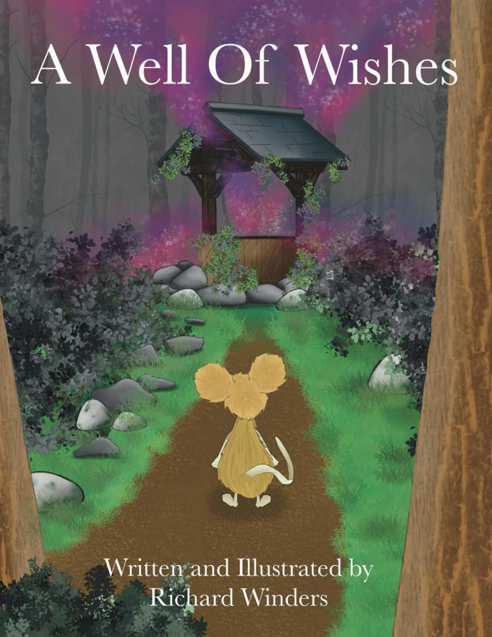 A Well Of Wishes