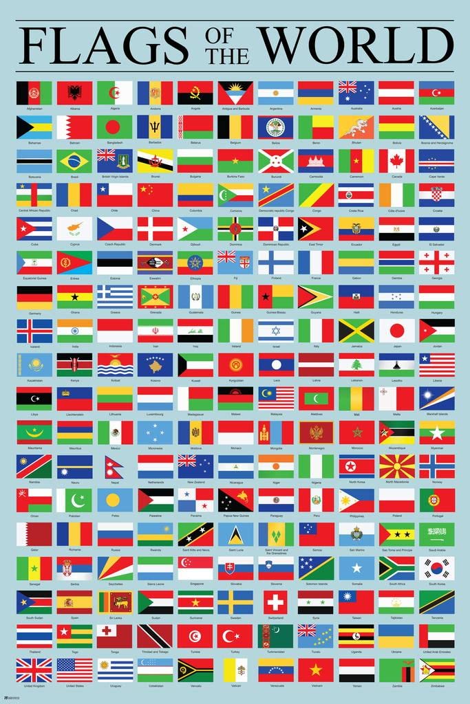 Laminated Flags of the World Poster Geography Classroom Decor International Country Reference Chart Poster Dry Erase Wall Art 16x24