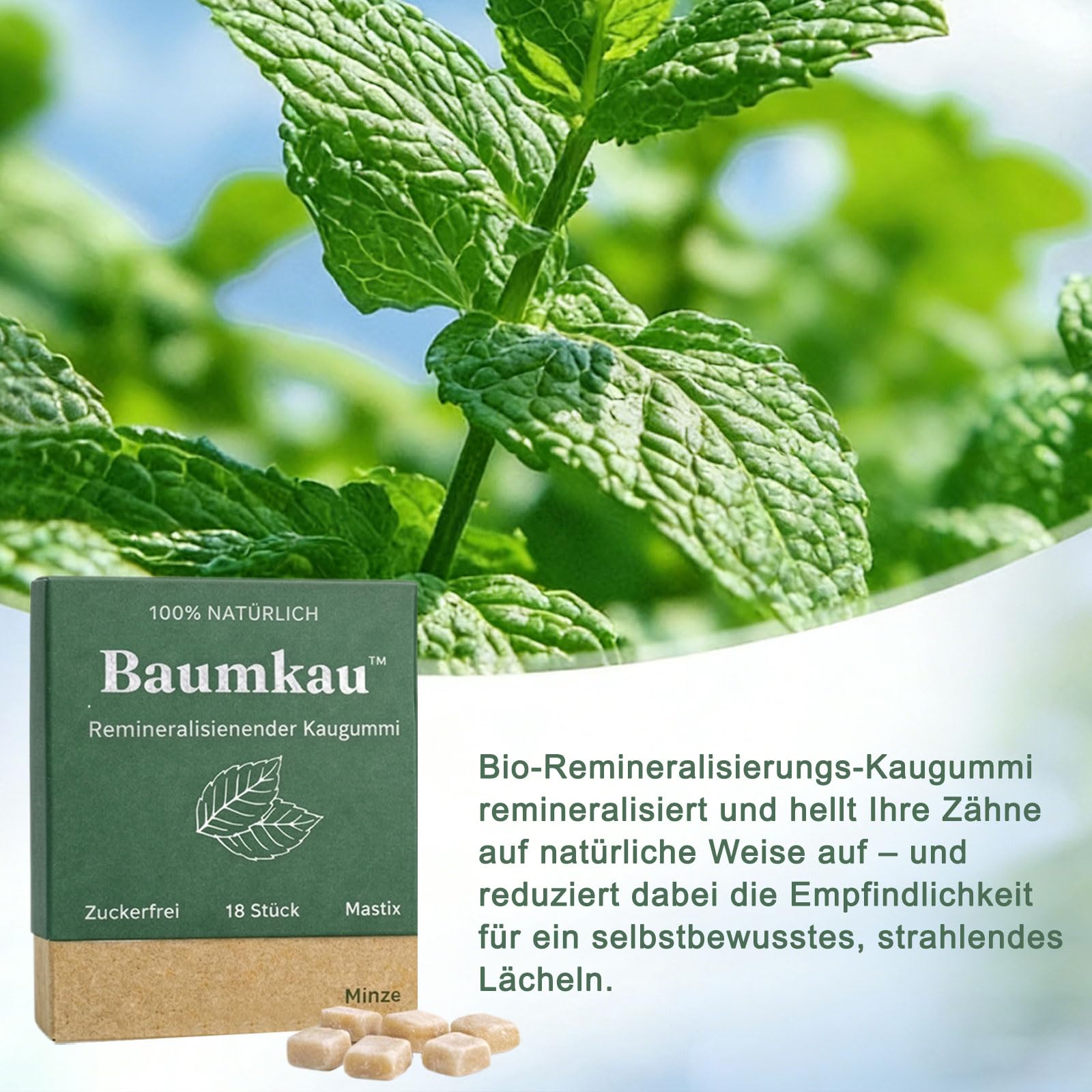 Baumkau Remineralisierender Kaugummi, 18 Stück Baukau Kaugummi, Zuckerfrei Kaugummis, Frischer Atem und Emailschutz, Sanft und Nicht Reizend, für Empfindliche Zähne Geeignet, Minze (1 Box)