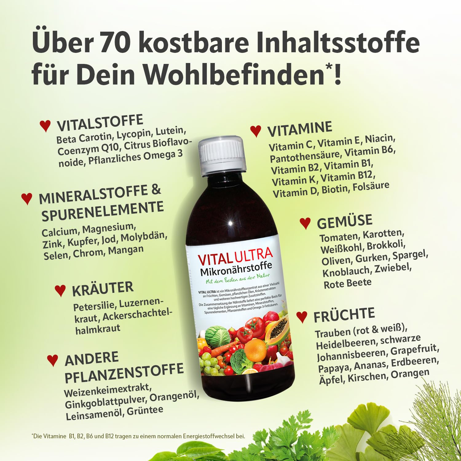 Vital Ultra Mikronährstoffe, Darm-Symbiotika, EAA 9+³ Aminosäuren-Komplex | Vitamine, Mineralien, Spurenelemente, Pflanzenstoffe, 23 Bakterienstämme (Lactobacillus & Bifidobakterien) und 12 Aminosäuren