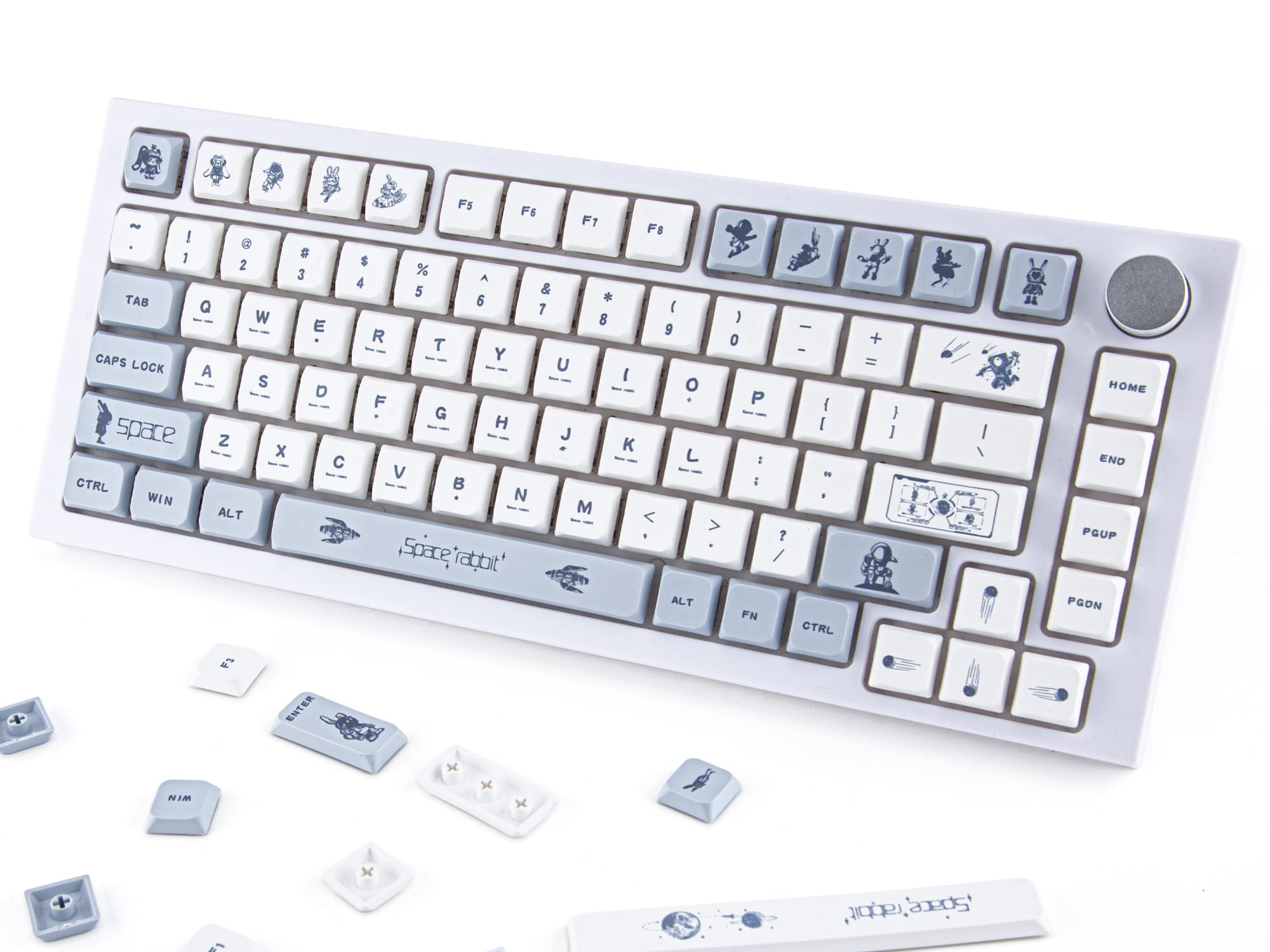 Custom Keycaps 124 Keys Set PBT Dye Sublimation Low Shaft Keycap ANSI Layout Keycap Compatible with Cherry MX Gateron Kailh Box TTC Switches Mechanical Keyboards (Space Rabbit)