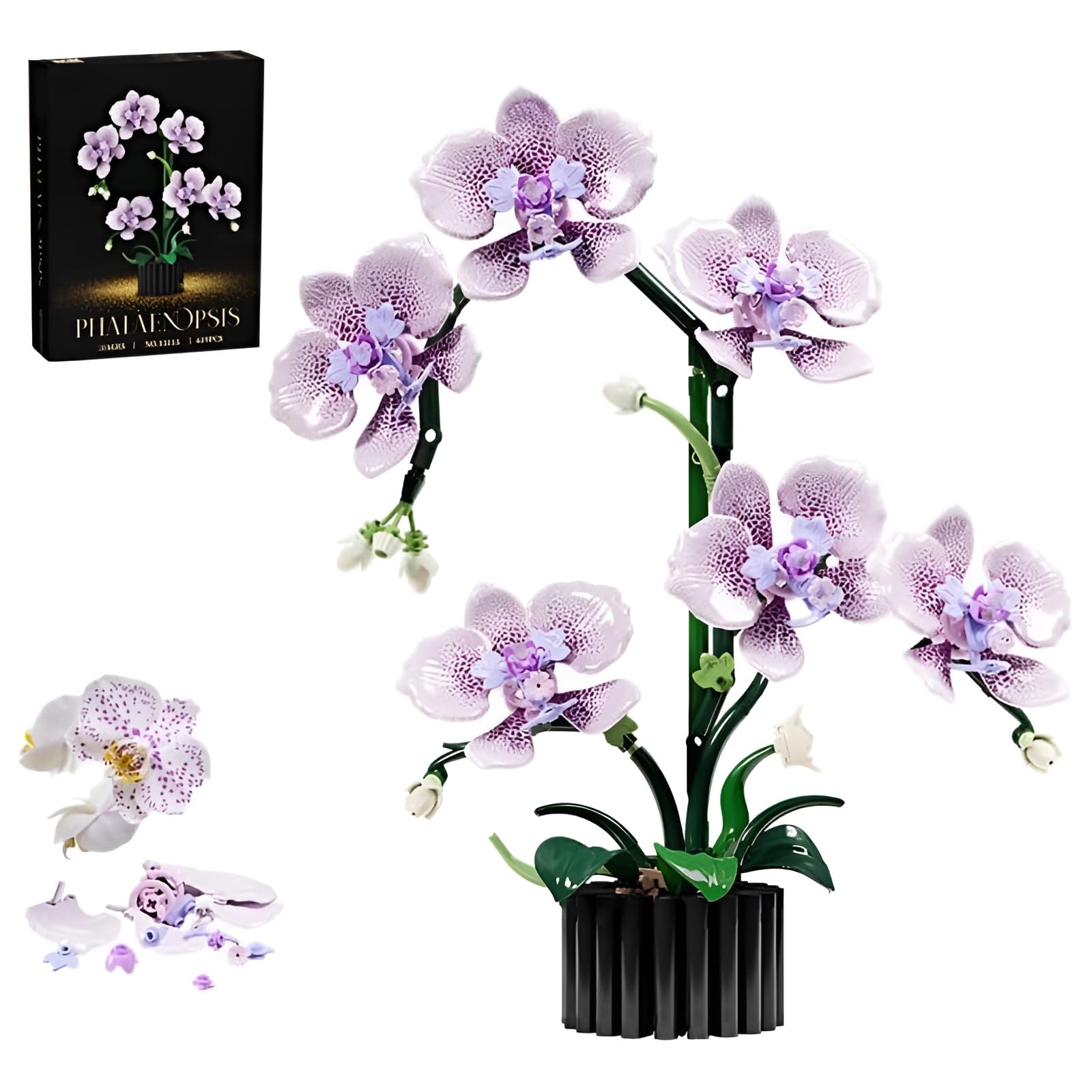 Kit de blocs de construction de fleurs d'orchidée violette, 619 pièces, modèle de la collection botanique pour décoration d'intérieur, ensemble de briques florales artificielles, excellent cadeau pour