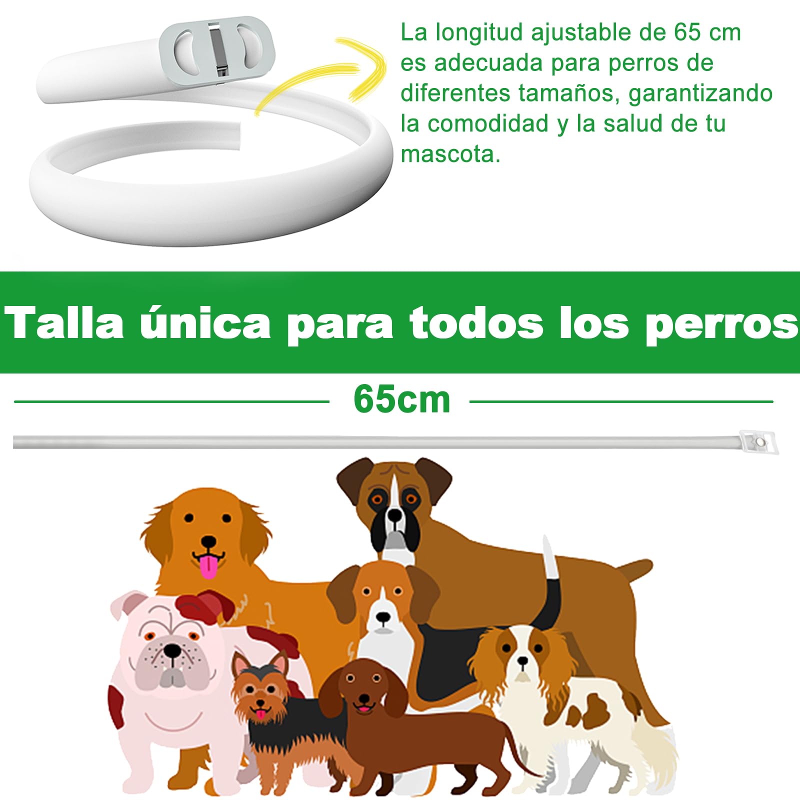 Pack 2 Collares Antiparasitarios para Perros, 24 Meses de Protección contra Pulgas, Garrapatas y Mosquitos - 100% Natural, Impermeable, Ajustable, para Todos los Tamaños — view 5