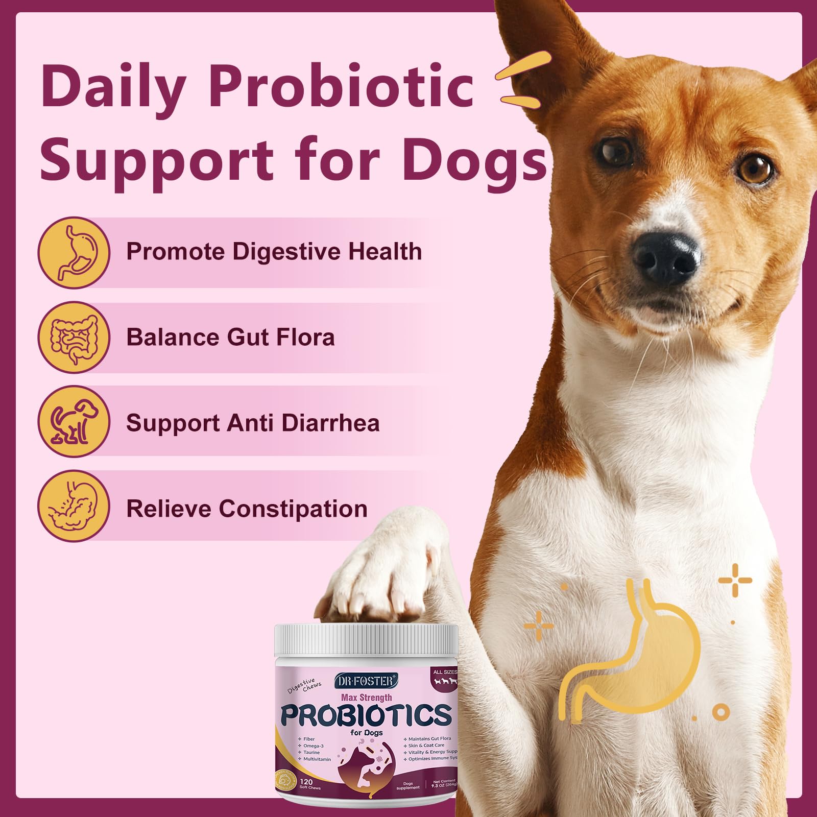 Probiotics for Dogs, Dog Probiotics for Digestive Health, 6 Billion CFU, with Prebiotics & Digestive Enzymes, Pumpkin & Omega-3, Dog Diarrhea Relief & Immune Support, Skin & Coat Care, 120 Soft Chews - image 2