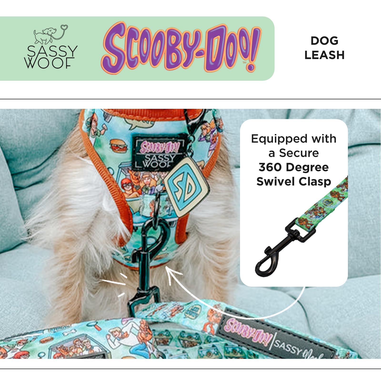 Amazon.com : Sassy Woof Scooby-Doo™ Dog Leash 60-Inch with