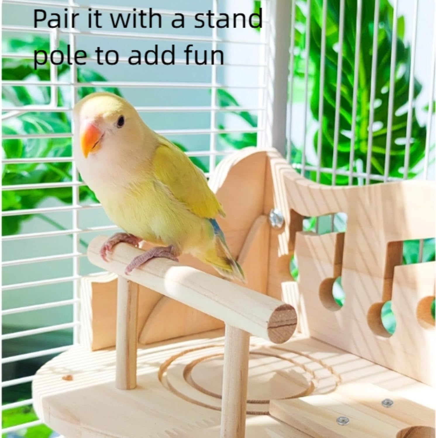 Parrot Climbing Ladder, Bird Wooden Playground with Acrylic Climbing Ladder, Parrot Play Stand for Green Cheek Conures, Lovebirds, Budgies, Cockatiels, Hamsters