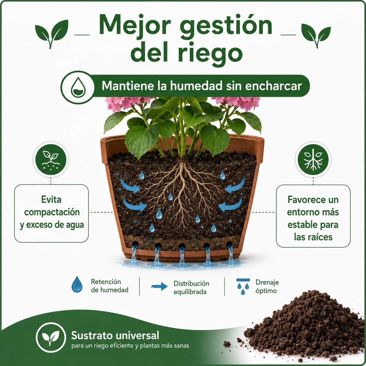 ARDINLIFE FLORAPL50 Sustrato Floraplant, Negro (2 Unidades)