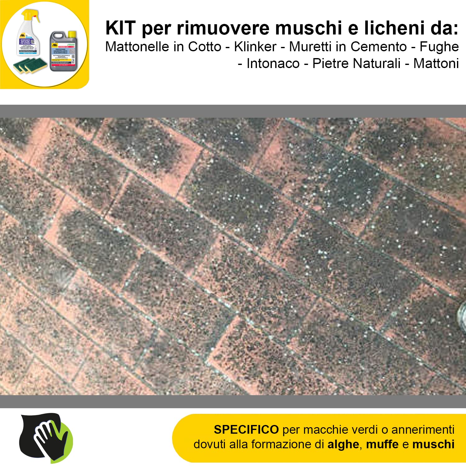 MASTERBRICO Kit Pulizia con Algaenet 500ml + Hydrorep Eco 1L + Spugne – Detergente Anti Alghe + Protezione Idrorepellente Ecocompatibile Per Rimuovere Muschi da Cemento, Fughe, Mattoni, Klinker, Tufo