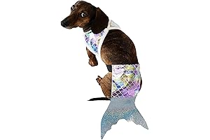 Midlee Mermaid Dog Halloween Costume - A Tail-Wagging Underwater Adventure!