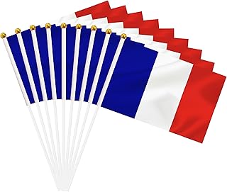 50 Pack France Hand Held Mini Stick Flags, French Small Miniature Stick Flag with 8.2 x 5.5 Inch Flag, Outdoor Decoration, Party Decorations, Supplies for Parades, Festival Events Celebration (France)