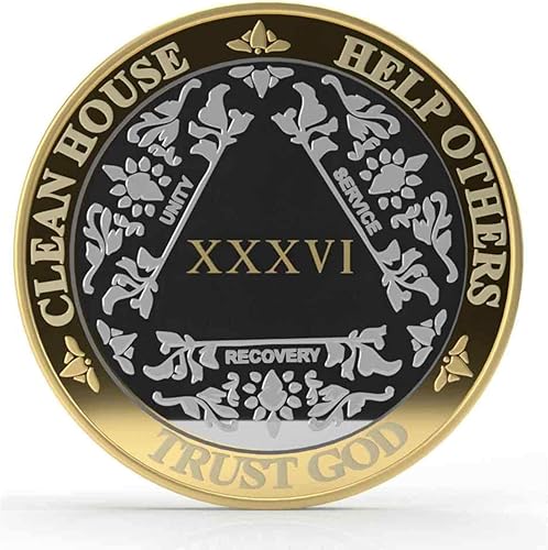 Miniatura 24 de Medallón anónimo de Alcohólicos Anónimos de Plata y Oro 1-60 años (20 años (XX)) Cápsula de Moneda AA Incluida