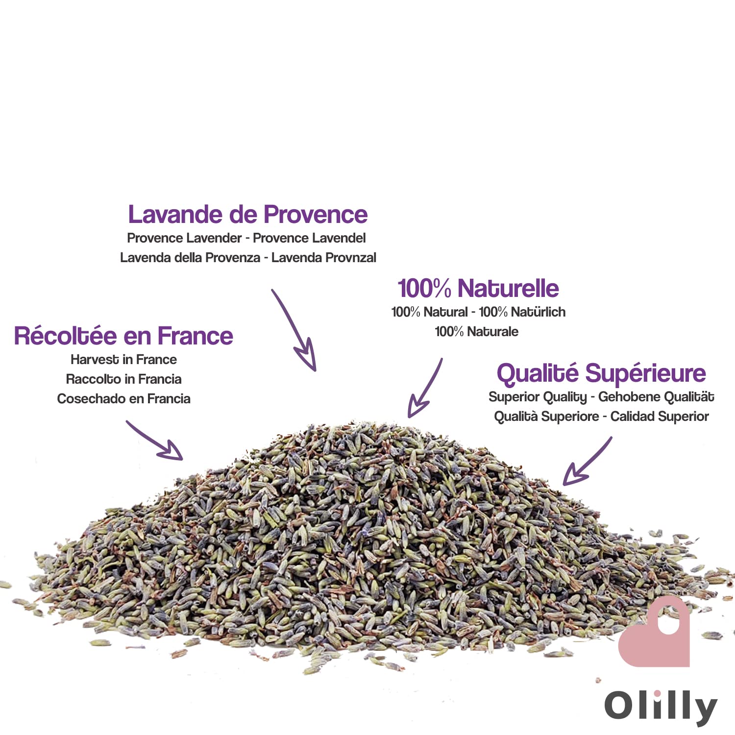 OLILLY Raccolta 2025-500 Grammi - Fiori di Lavanda Essiccati di Provenza (Lavandin Grosso, 500 Grammi)
