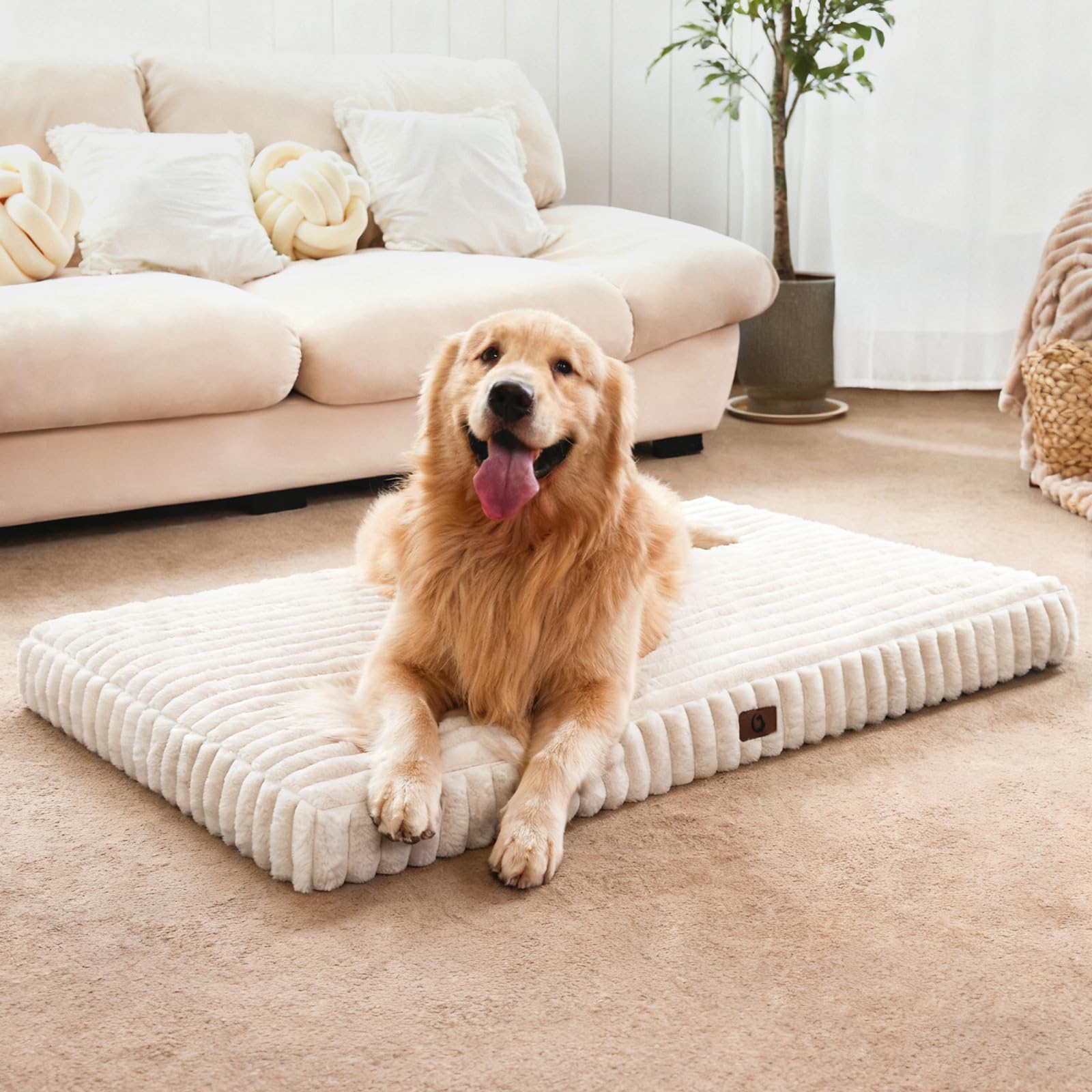 Dog Beds for Extra Large Sized Dog, Orthopedic Pet Bed with Waterproof Lining, Soft Short Plush Surface & Egg Crate Foam, Machine Washable Pet Mat with Removable Cover & Anti Slip Bottom