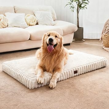 Large Orthopedic Dog Crate Bed with Waterproof Lining | Egg crate foam for joint support. Soft plush surface. Non-slip bottom. Removable & machine washable cover. OEKO-TEX certified