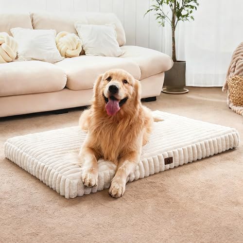 Cozila Dog Beds for Large Sized Dog, Orthopedic Pet Bed with Waterproof Lining, Soft Short Plush Surface & Egg Crate Foam, Machine Washable Pet Bed with Removable Cover & Anti Slip Bottom - L(36"*27"*3") - Cream