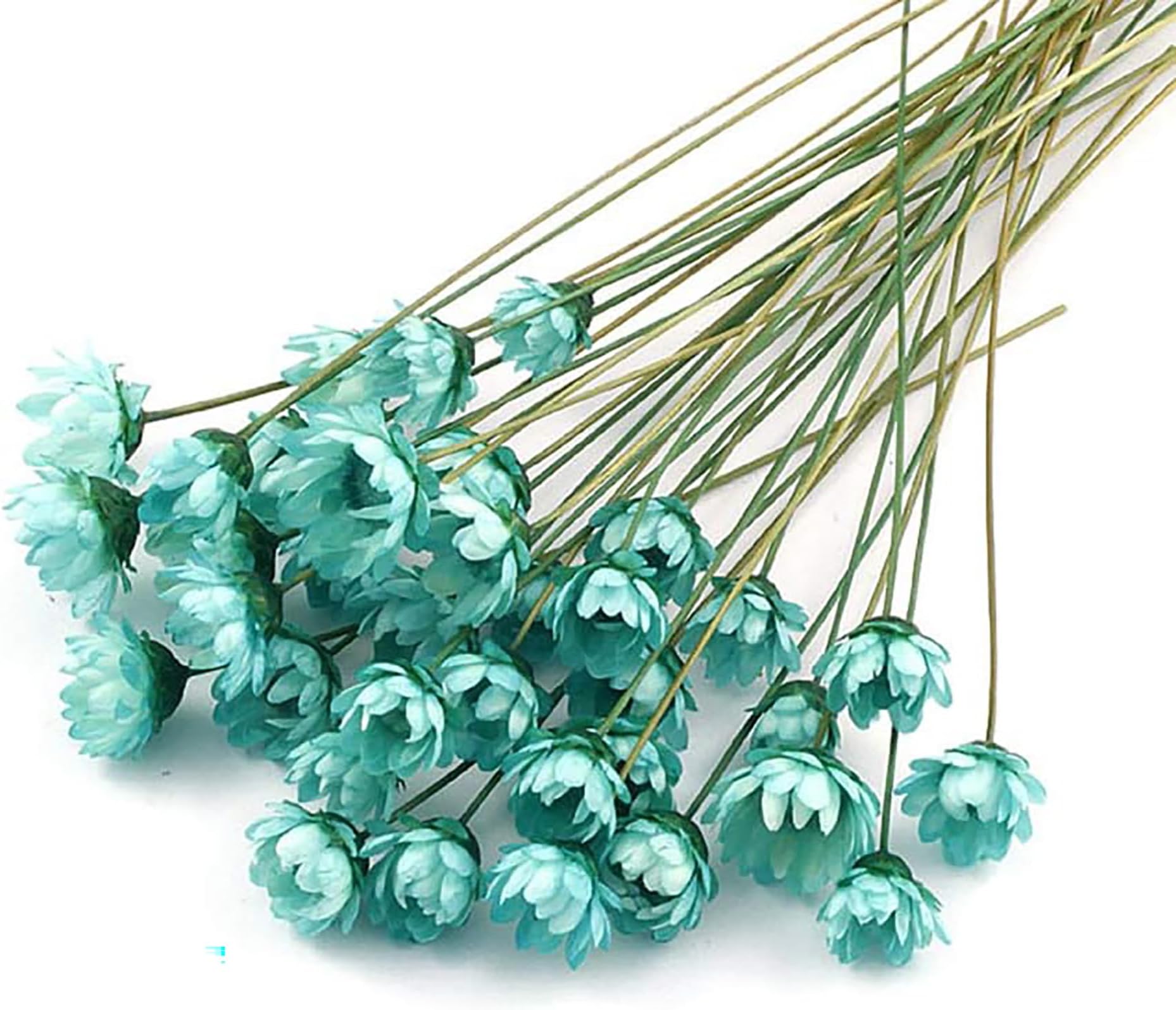 100 Stems Natural Dry Flowers Brazilian Small Star Daisy Decorative Dried Flowers Mini Daisy Chamomile Bouquet for Wedding Floral Arrangements Home Decorations (Blue)
