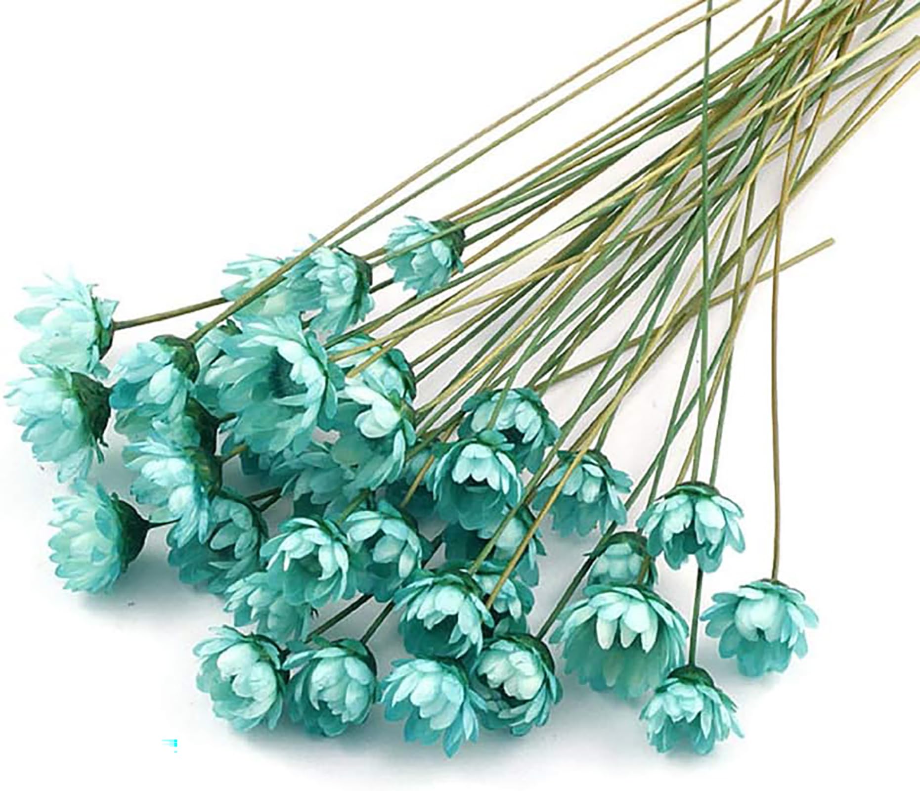 100 Stems Natural Dry Flowers Brazilian Small Star Daisy Decorative Dried Flowers Mini Daisy Chamomile Bouquet for Wedding Floral Arrangements Home Decorations (Blue)