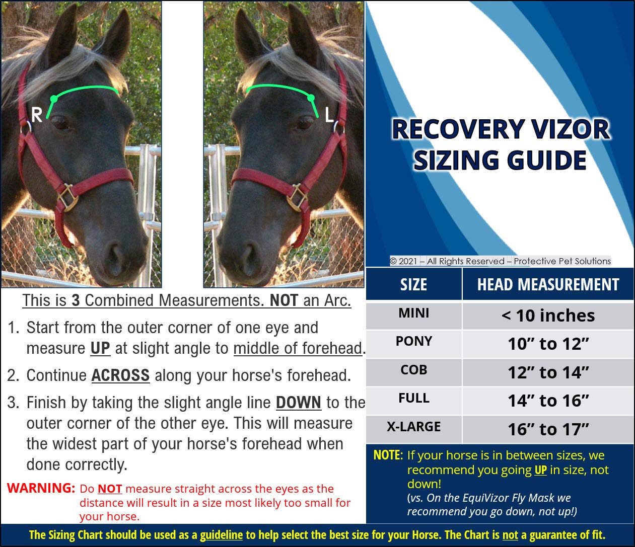Buy Horse Medical and Preventative Clear UV Recovery Vizor (Size Horse