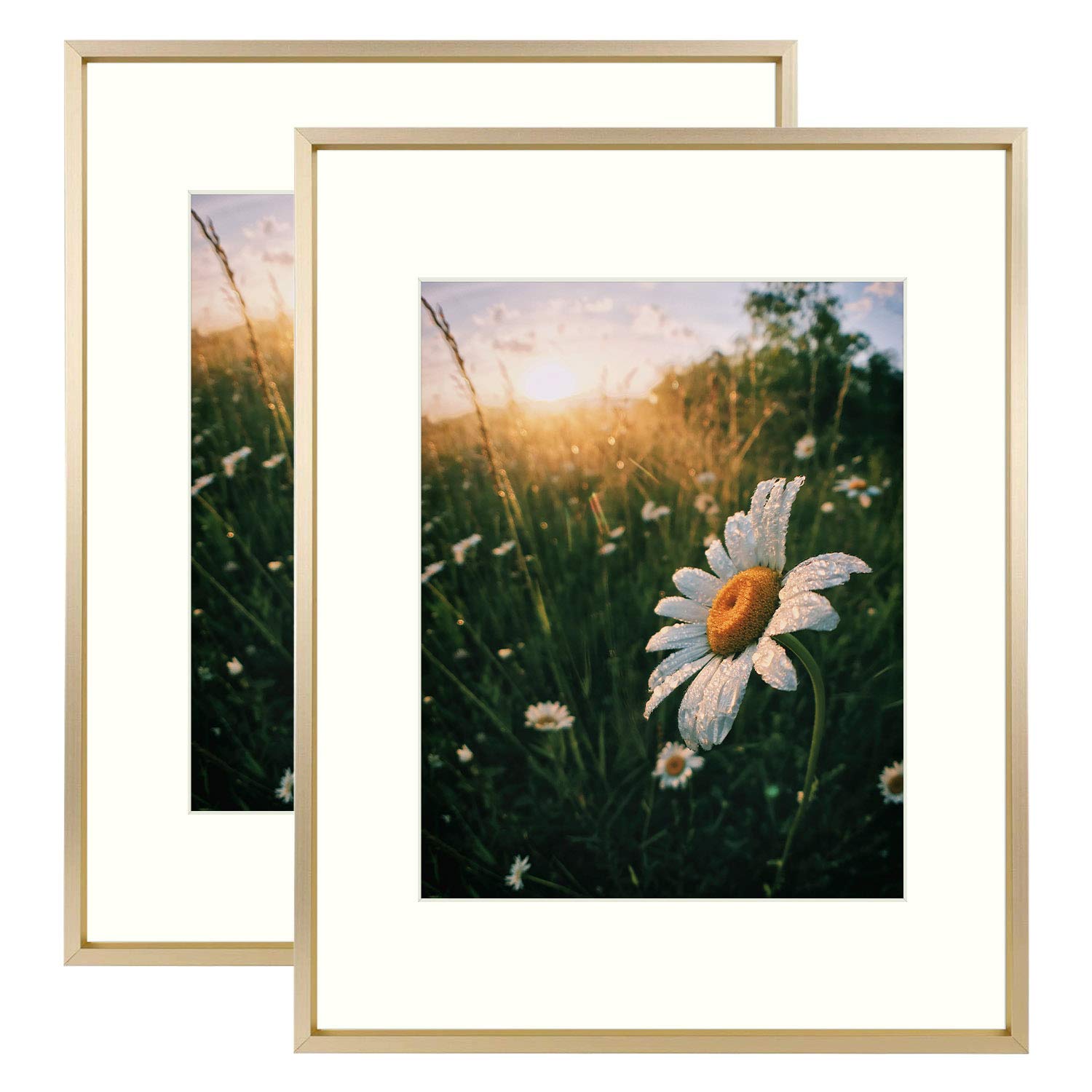 AUEAR11x14 Aluminum Frame in Gold - Real Glass - Made to Display Pictures 8x10 with Mat Horizontal and Vertical Formats for Wall (2 Pack)