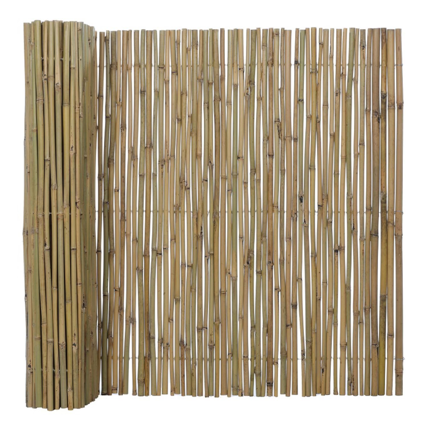 BONERVA | Bambú Pro Caña Completa | Cañizo de Bambú Caña Gruesa para cerramientos y decoración de Jardín, balcón y Exteriores | 12 mm - 25 mm diámetro cañas | Varias Medidas (2 x 3 Metros)